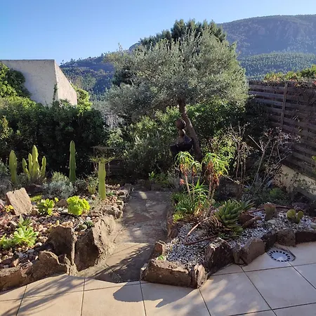 Apartment Le Jasmin *