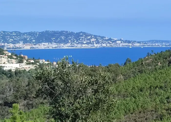 Le Jasmin Apartment Mandelieu